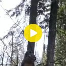 Campbell Valley Regional Park 이미지