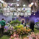 나비공간 | 에버랜드 겨울 아이와 실내 체험 나비의 꿈꾸는 정원