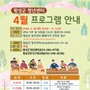 횡성읍행정복지센터 네이버블로그
