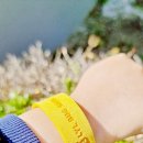 스톤 모기퇴치 팔찌 | 본격 여름 대비! 우리 가족 필수템 벅스쉴드 모기퇴치팔찌 솔직 후기