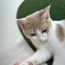 마도공단로 1길 이미지