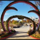 국화축제장 입구 이미지