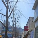 달콤왕가탕후루포항 이미지