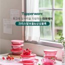 타파웨어(베스트) 이미지