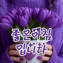 오늘의 날씨 (11월 25일 화요일) 입영 16일차 이미지