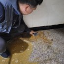강남사무실청소청소생각