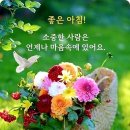 인연따라 마음을 일으키고 이미지