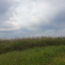 봉동교 옆 이미지