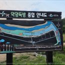 [옥정]스마트폰 인생 사진찍기 | 사진 찍기 좋은 가족 산책길, 주말에 다녀온 함안 악양둑방