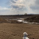 대명애견 이미지