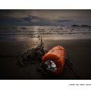 바다이야기 이미지