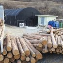 백성달농장 이미지