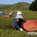 다원축산기업 이미지
