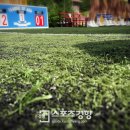 AOA 카카오 검색결과