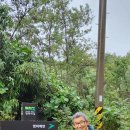 통일안보공원 관광안내소 | 구멍뚫린 하늘을 쳐다보며 원망의 삿대질을 해댈 뿐이다