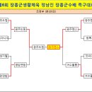 ●→ 제6회 장흥군생활체육 정남진 장흥군수배 족구대회 결과 이미지