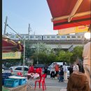 봄날어시장 | 봄에 소래포구 가야 하는 이유🦀 | 암꽃게 · 자연산 광어 · 매운탕 종합 후기