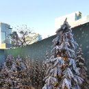 부산 해운대 이미지