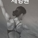 다빛필라테스 - 강남구 언주로172길 65 | 다빛필라테스