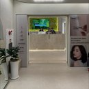 영준 | 삼성역 미용실 에코쟈뎅에서 가을웜톤 톤다운 염색 받은 대만족 후기 (영준디자이너)