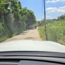 안골보리밥 이미지