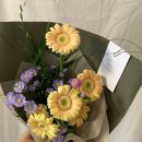 빈느스튜디오 이미지