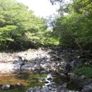 한라산둘레길 천아숲길 이미지