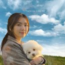 시네마 뉴원 이미지