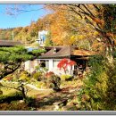 화가의정원 이미지