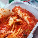 해남농장2 | 국내산 전라도김치 추천 수육곁들인 해남 포기김치 1kg 아르뫼김치 후기