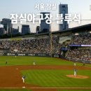 217 | 잠실야구장 3루 원정 내야석 블루석 217 블록 6열 시야 및 후기