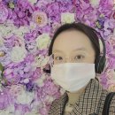 더조은경상 이미지