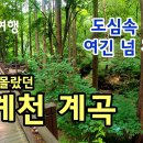 2024/07/07(일) 청계산 맑음숲공원 ~ (대공원역 or 옛골) 이미지