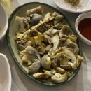 대림호프 | [서울 을지로4가]대림호프 노포 맛집 야장 포차 술집 내돈내산 후기 추천