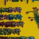마리네 도시락