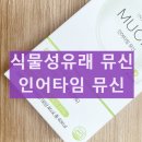 루미로사 이미지