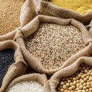 양곡1천 이미지