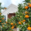 한아름목장2 이미지