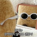 평범한일상 이미지