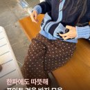 소프트 펀 | 다음주! 한파에도 따뜻한 겨울 팬츠 모음(하이스쿨디스코, 펀프롬펀, 릿코어, 프렌다, 익스파이어드걸 등)