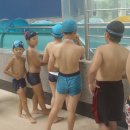 어린이대공원수영장 이미지