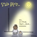 달빛아래한잔