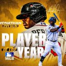 트리플메디칼 이미지