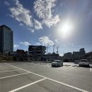 자작나무 | 울산 샤브자작나무 후기｜샐러드바까지 완벽했던 가족외식 맛집