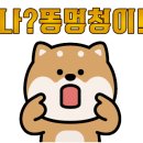 서초보건지소 이미지