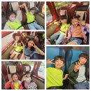 한국체대 태권도 스쿨 이미지