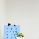 오렌지카페호프 | 인천 식물샵, 식물을 기르기엔 난 너무 게을러 가좌동 쇼룸 방문 후기