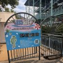 쉼터 | [과천]서울랜드 크라켄쉼터 내돈내산 후기와 예약방법