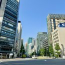 효도투어 | 일본 효도여행 추천 도쿄 후지산 투어 내돈내산 후기