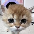 박경민미용실
